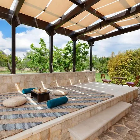 Harihome Triggianello