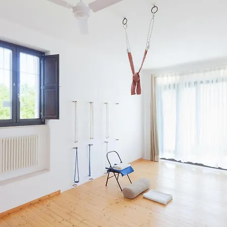 Harihome * Triggianello