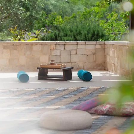 Harihome * Triggianello